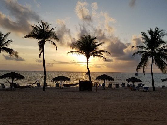 The Wreck View Art Gallery